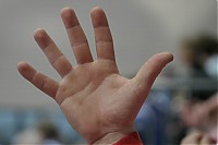IMG_1556.jpg