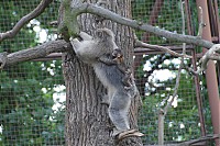 2008_06_28__14_34_22.jpg