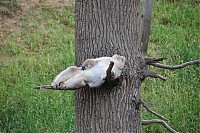 2008_06_28__14_35_10.jpg