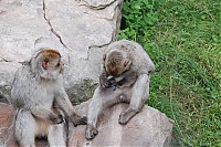 2008_06_28__14_40_24.jpg