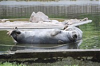 2008_06_28__15_51_49.jpg