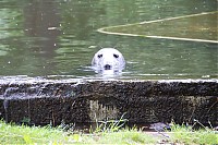 2008_06_28__15_52_27.jpg