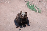 2008_06_28__16_48_08.jpg