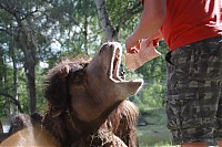 2008_06_28__17_38_39.jpg