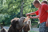 2008_06_28__17_40_39.jpg