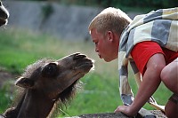 2008_06_28__17_43_23.jpg