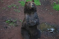 IMG_7269.jpg