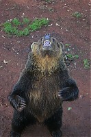 IMG_7284.jpg