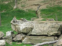 2011_06_11__14_53_13.JPG