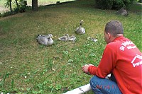2011_06_11__15_07_02.JPG
