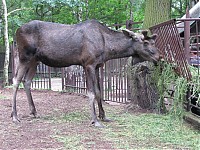2011_06_11__15_49_48.JPG