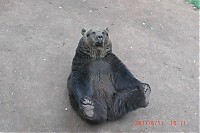 2011_06_11__16_11_20.JPG