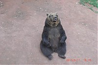 2011_06_11__16_15_04.JPG