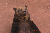 2011_06_11__16_21_05.JPG