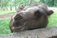2011_06_11__16_42_05.JPG