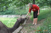 2011_06_11__16_42_30.JPG