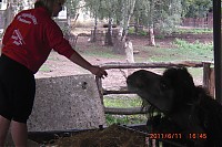 2011_06_11__16_45_31.JPG