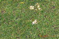 2011_06_12__11_18_28.JPG